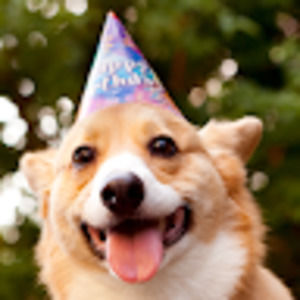 Meet your Posher, Hunter